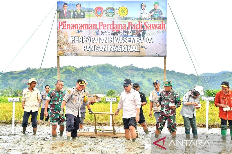 Pemkab Gorontalo Utara targetkan tanam padi sawah seluas 14.430 ha 