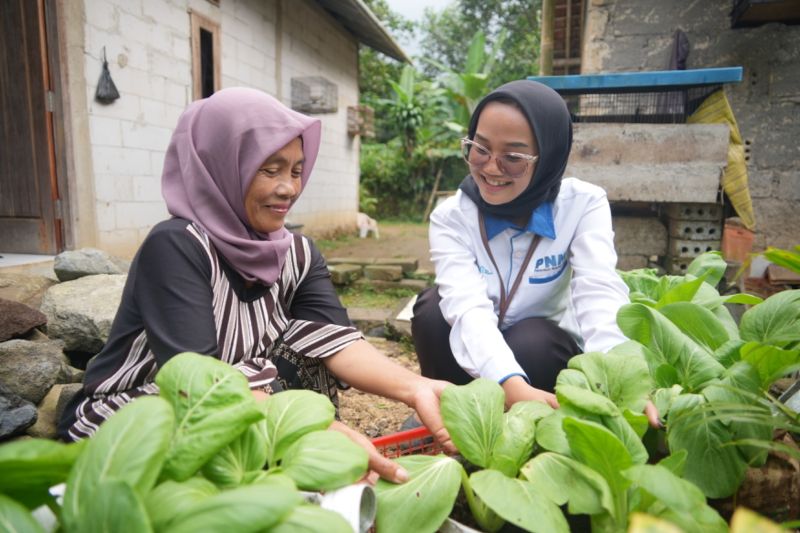 8-jenis-sayuran-yang-wajib-konsumsi-tiap-hari-agar-tubuh-tetap-bugar