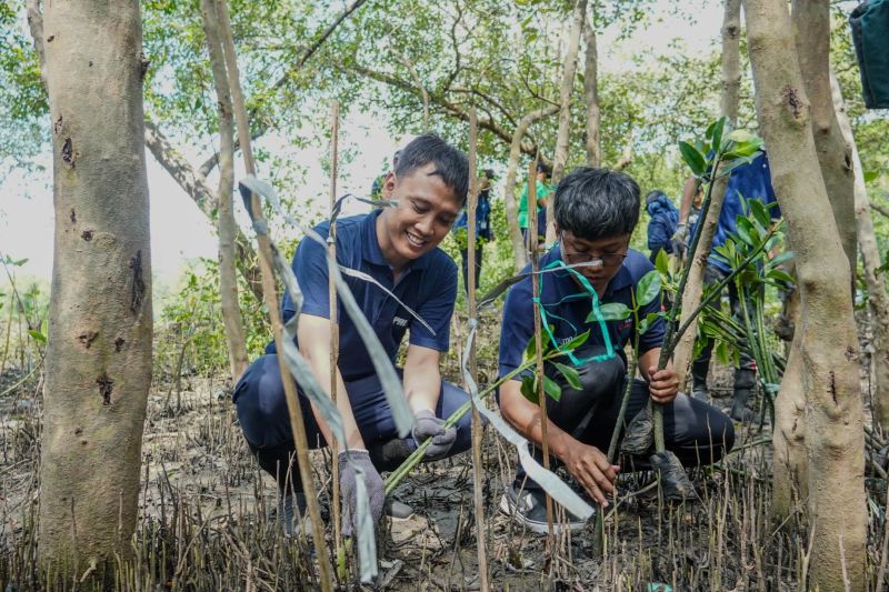 PT PAL jaga pesisir Surabaya dari abrasi lewat bibit mangrove 