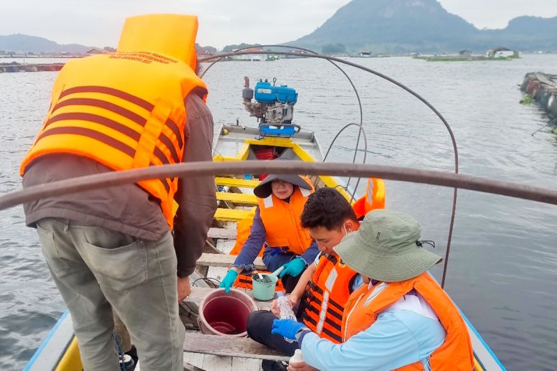 kkp-turunkan-tim-selidiki-kematian-100-ton-ikan-massal-waduk-jatiluhur