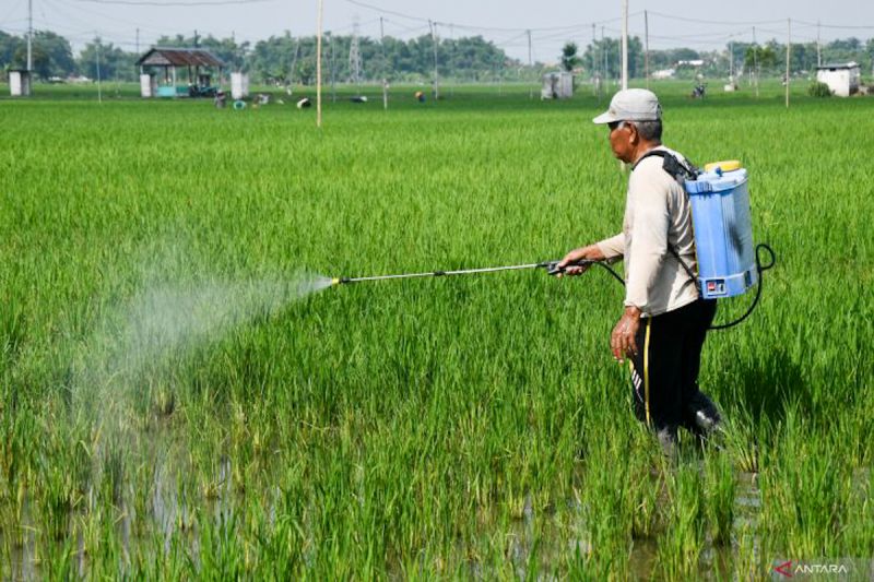 ktna-menjaga-semangat-petani-penting-untuk-produkivitas-pertanian