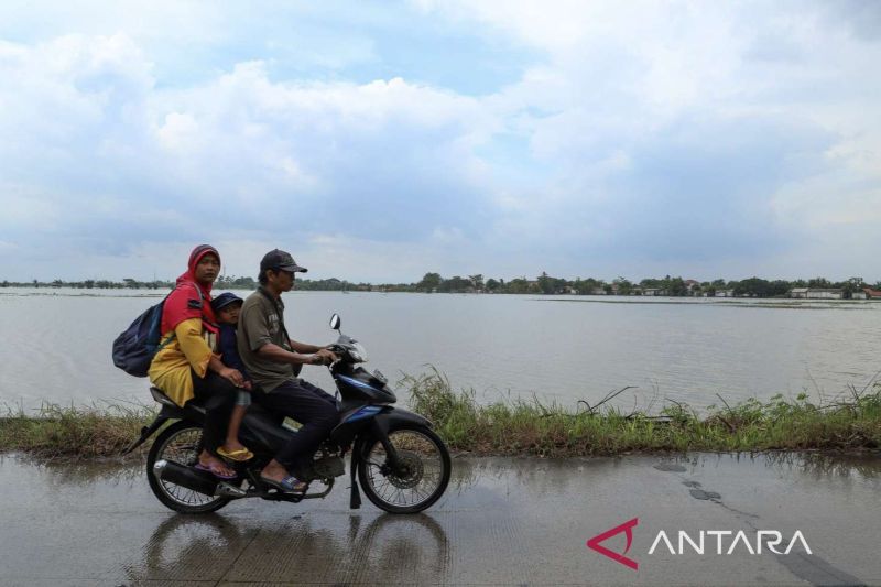 Dinas Pertanian Bekasi mitigasi cegah dampak hujan genangi sawah 