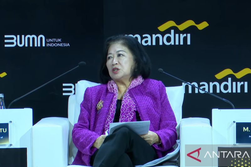 DEN: Selain RI efisiensi anggaran juga dilakukan negara lain 