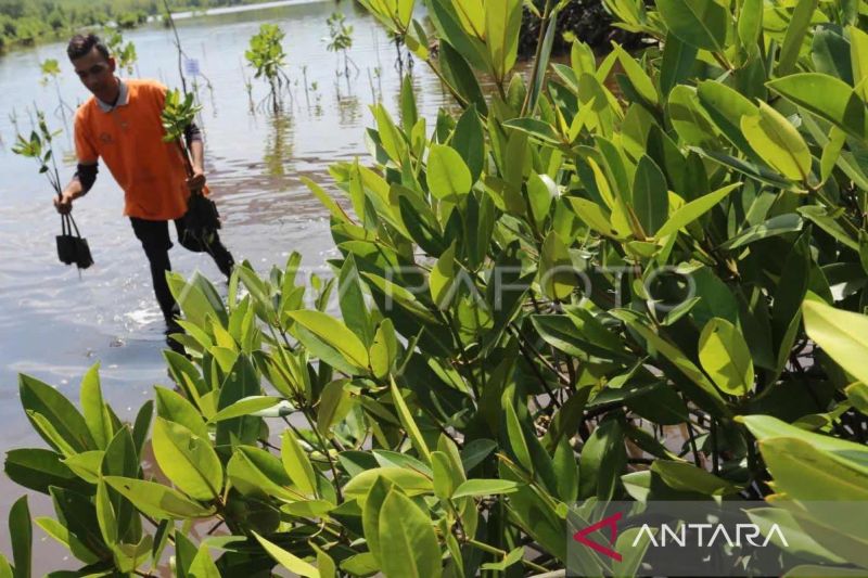 Aceh terima 1,7 juta dolar AS untuk tekan laju emisi karbon 