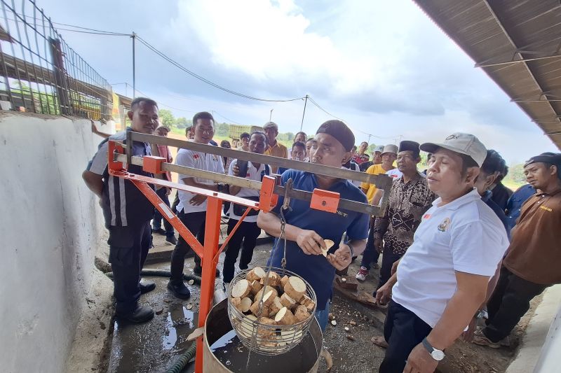 DPD RI: Perlu digitalisasi alat ukur kadar pati dan timbangan ubi kayu