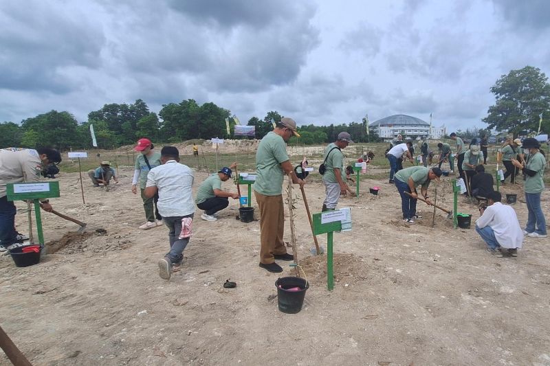 BRI Insurance dan PNM tanam 1.000 bibit pohon di Bangka Belitung 