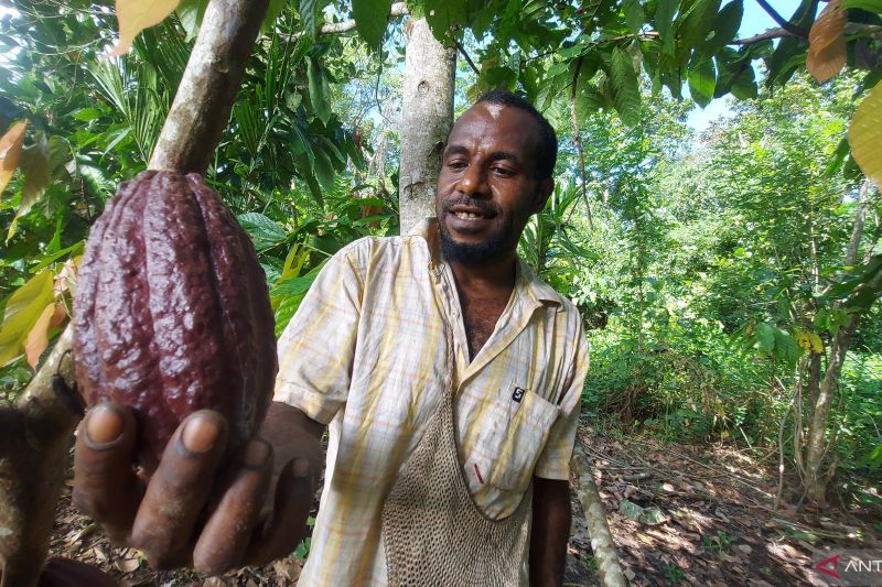 Makna cokelat valentine di tengah krisis kakao 