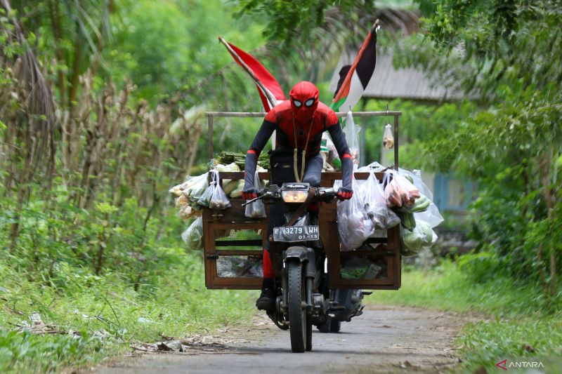 Spiderman tertangkap basah berjualan sayur keliling di Banyuwangi