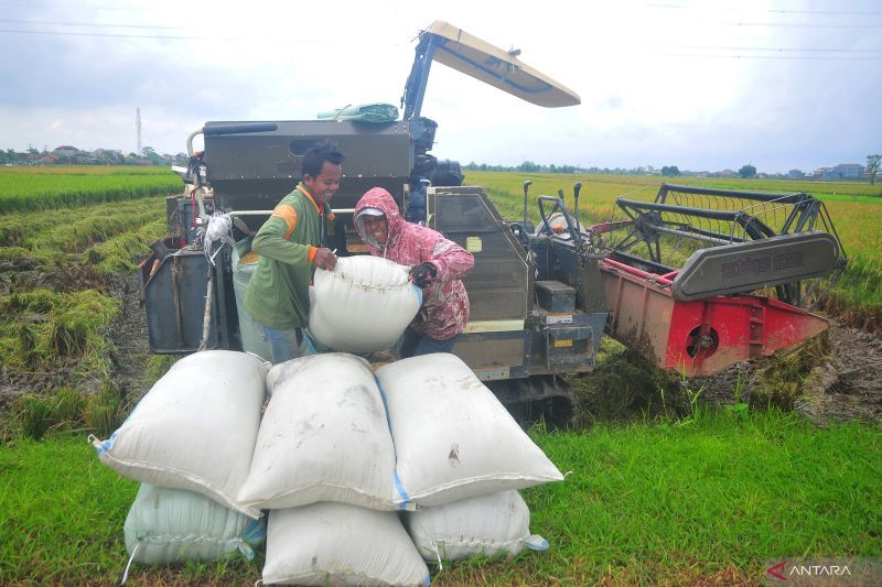 Pertanian maju kunci kemakmuran petani