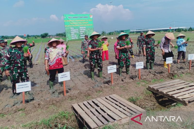 Aster Kasdam Jaya kunjungi lahan pertanian Korem 051/Wijayakarta 