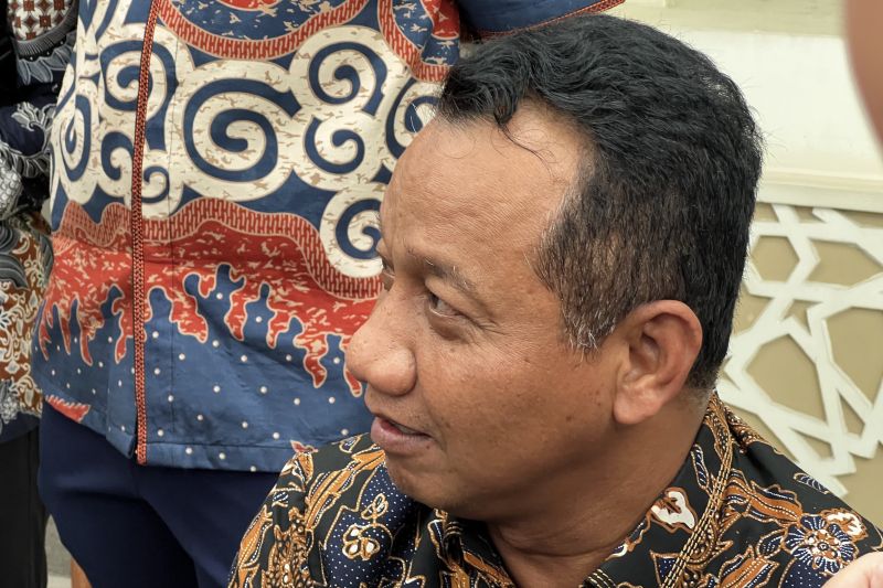 ESDM sebut harga batu bara untuk pembangkit listrik tidak akan naik