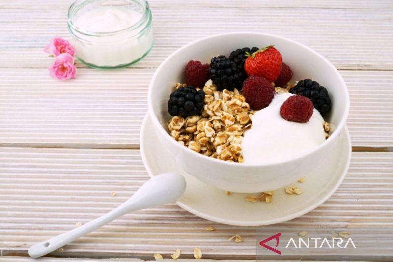 Manfaat probiotik dan prebiotik untuk sistem pencernaan