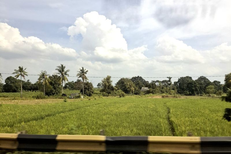 Lampung siap serap maksimal panen petani di Februari dan panen raya