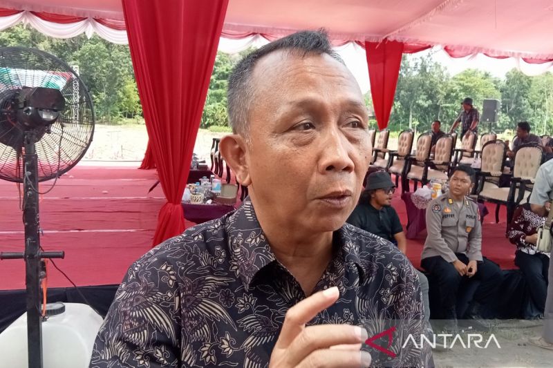 Pemkab Bantul proyeksikan penanaman jagung seluas 5.196 ha pada 2025 