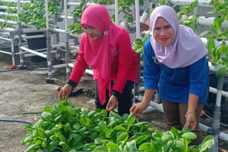 Pemkab dorong pemberdayaan wanita dukung ketahanan pangan