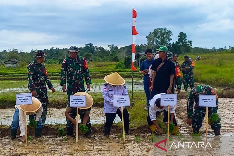 Berkolaborasi tingkatkan produksi padi petani di ujung Negeri