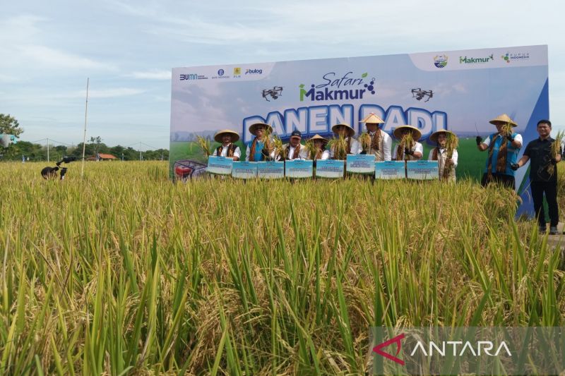 Memupuk Ciayumajakuning jadi lumbung padi nasional