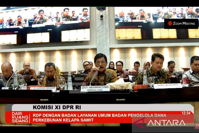 Anggaran BPDP dipangkas sebesar 33,81 persen imbas efisiensi 