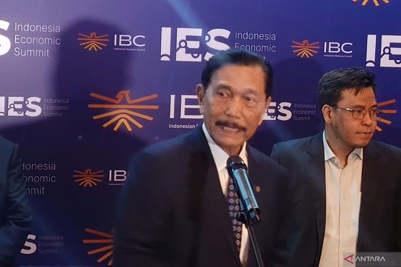 Luhut sebut sudah rekrut anak muda ciptakan AI buatan dalam negeri