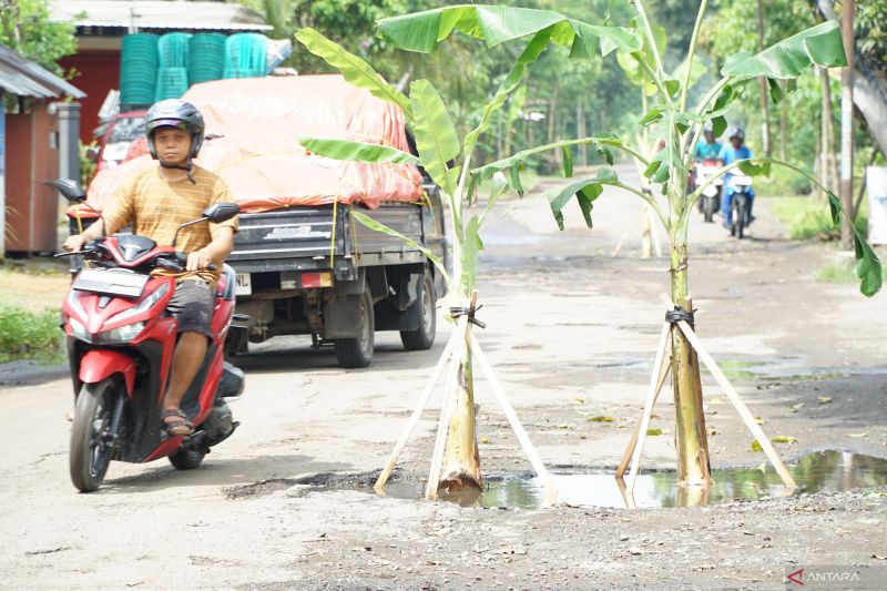 Trenggalek tanggapi jalan rusak ditanam pisang