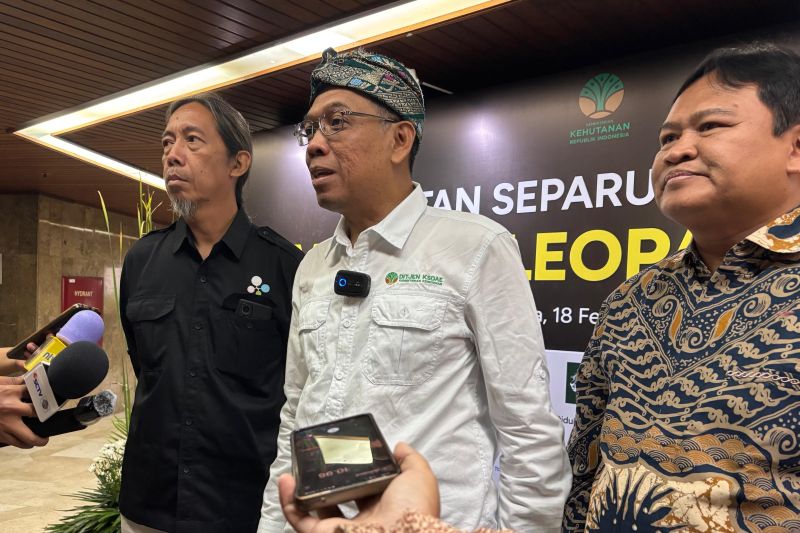 Kemenhut menyusun strategi konservasi macan tutul jawa