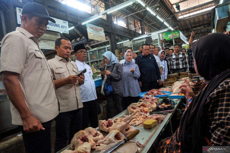 Anggota DPR nilai tak ada "beras oplosan", tapi beras tak sesuai mutu