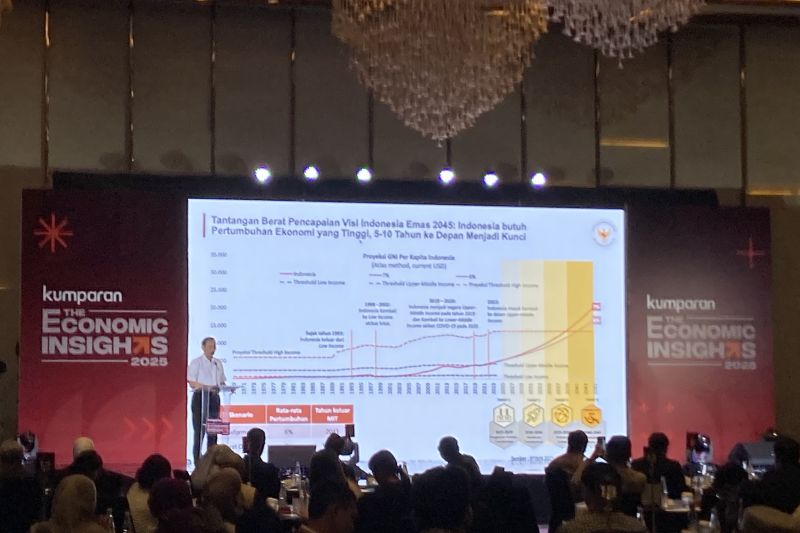 Luhut minta Prabowo audit sistem Coretax