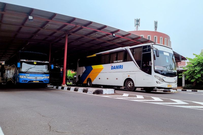 Hore! Promo Sebulan Layanan DAMRI Dari dan Menuju Bandara Soekarno-Hatta