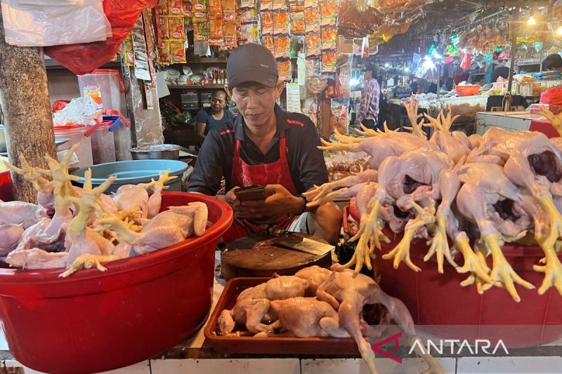 Harga pangan Jumat, daging ayam Rp34.150/kg, cabai rawit Rp71.300/kg