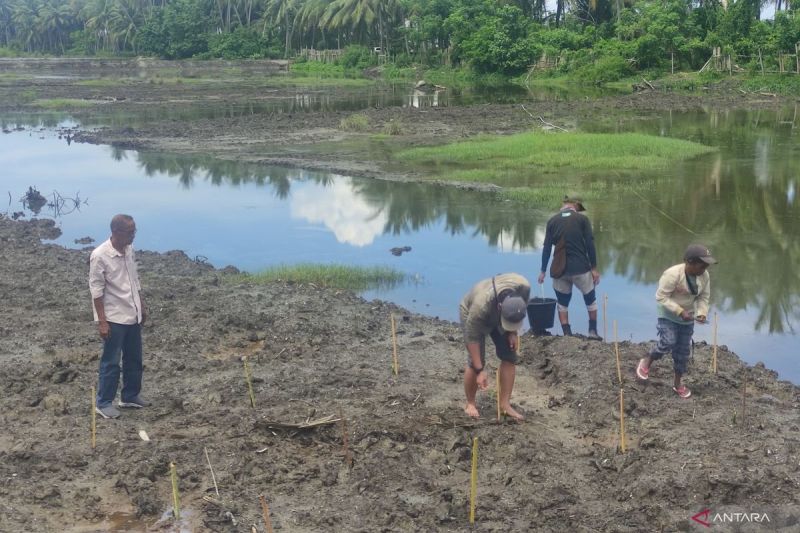 Arah pembangunan desa berbasis kekuatan kolektif masyarakat