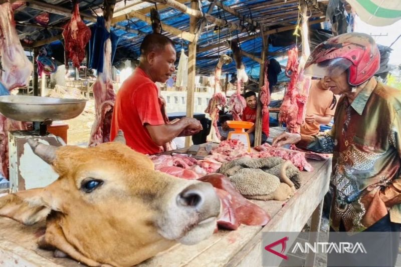 pemkab-aceh-barat-tetapkan-pasar-bina-usaha-lokasi-jual-daging-meugang