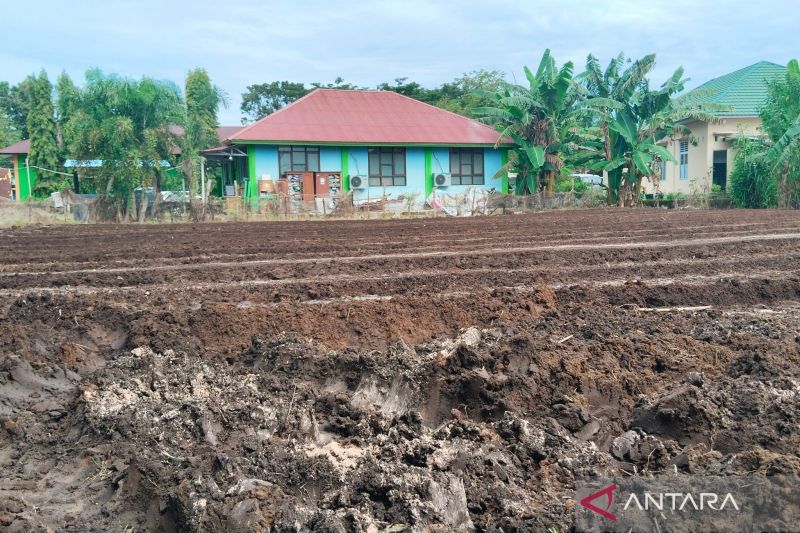 mukomuko-minta-desa-lakukan-penyesuaian-apbdes-untuk-jagung