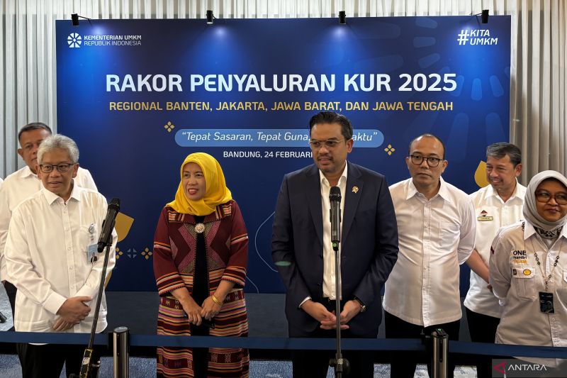 Kementerian UMKM targetkan penyaluran KUR Rp300 triliun pada 2025