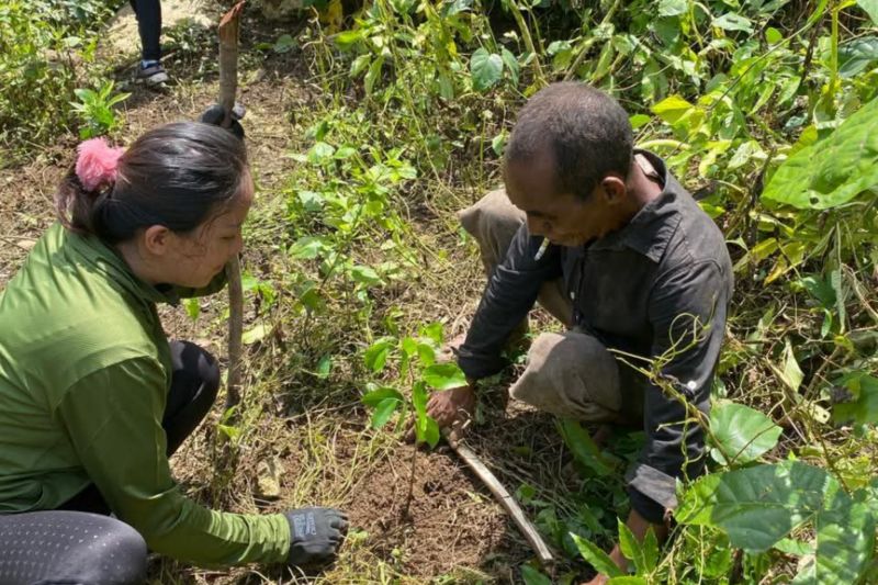 bpolbf-komitmen-dukung-kelestarian-parapuar-melalui-penanaman-pohon