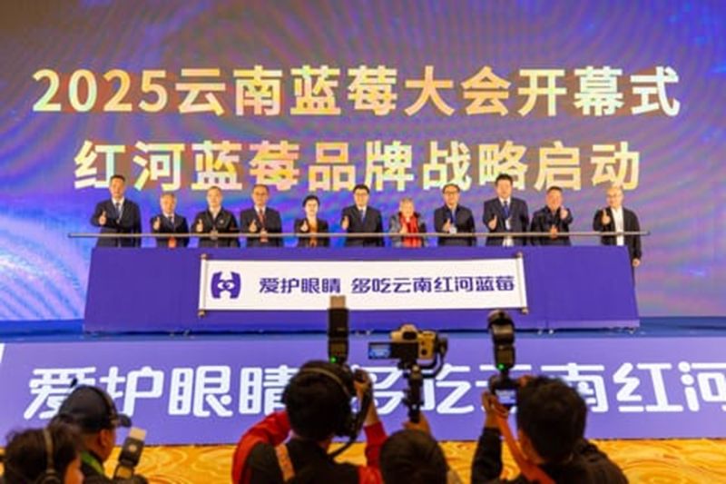 Yunnan Tiongkok Luncurkan Strategi Merek Honghe Blueberry Untuk Dorong Pertumbuhan Industri