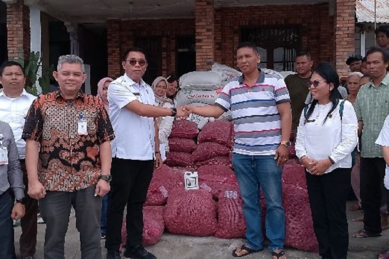 Samosir tingkatkan pendampingan kepada petani bawang