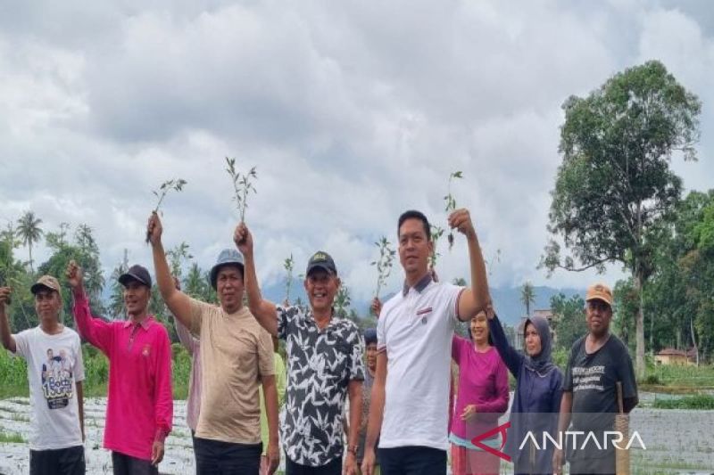 Pemkab Madina-Kadin manfaatkan lahan tidur wujudkan ketahanan pangan