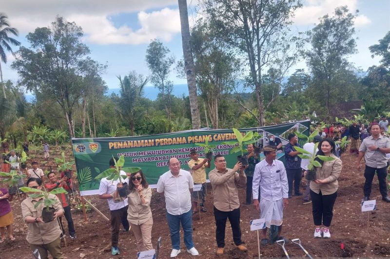 kementerian-atrbpn-jadikan-tanah-adat-di-jembrana-untuk-pertanian