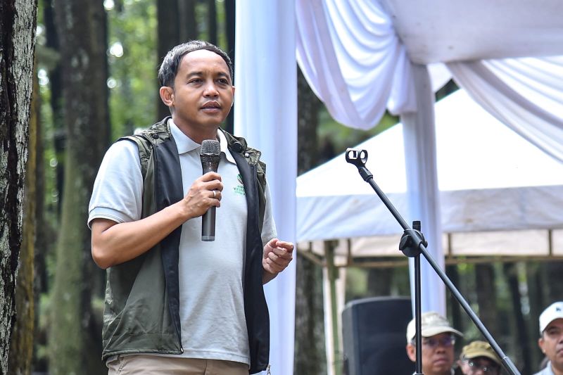 menhut-hari-bakti-rimbawan-2025-jadi-momen-untuk-evaluasi