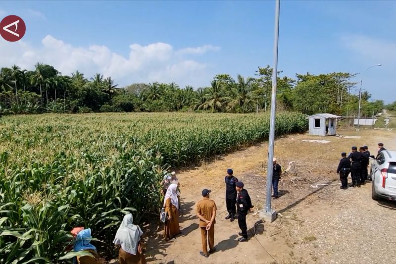 DKPPP Kota Lhokseumawe tinjau dan edukasi lahan jagung Brimob 