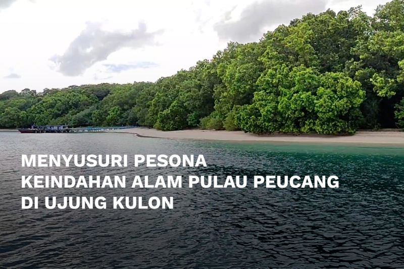 Menyusuri pesona keindahan alam Pulau Peucang di Ujung Kulon