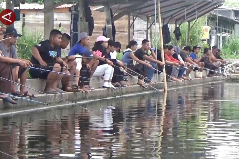 Sleman berdayakan pemancingan untuk dorong penjualan ikan konsumsi 