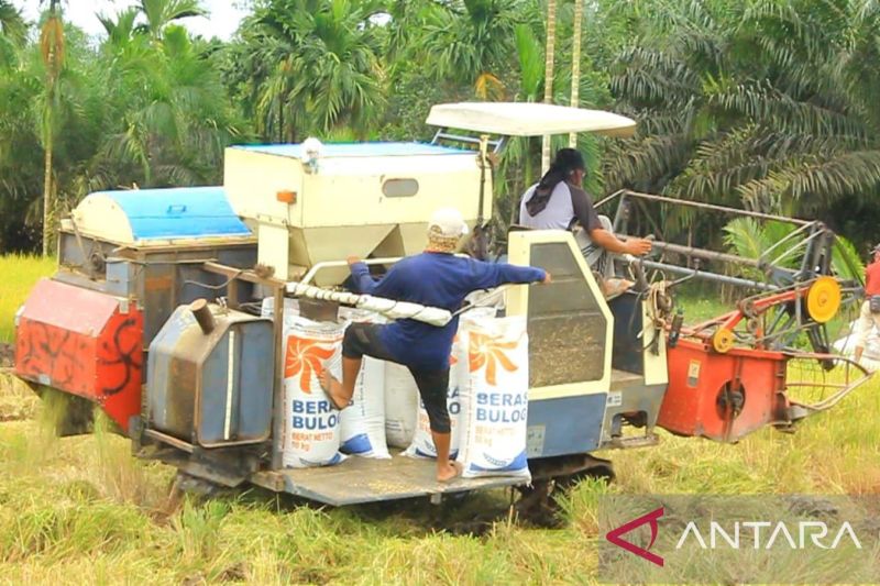 Bulog Kuala Tungkal pastikan serap gabah petani sesuai HPP