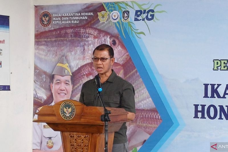 DKP Kepri: Valuasi bisnis perikanan mencapai Rp10 triliun per tahun