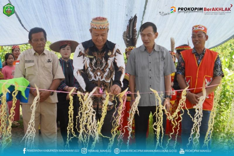 pemkab-mahakam-ulu-kembangkan-plts-di-kawasan-3t