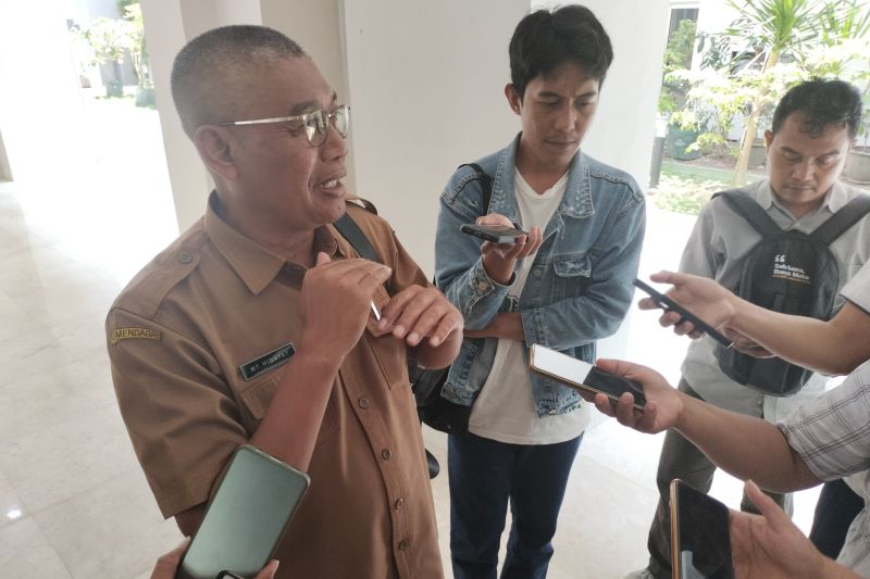 NTB ungkap penyebab cabai melambung jadi Rp200 ribu/kg