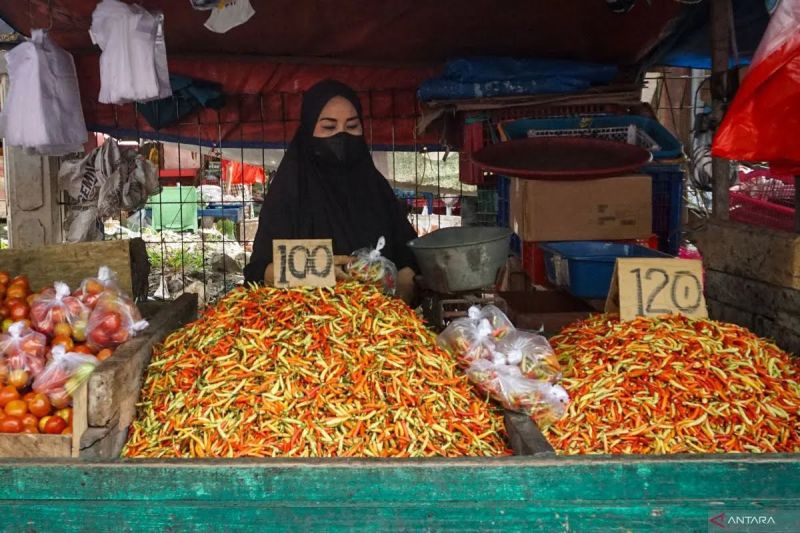 harga-pangan-selasa-cabai-rawit-merah-tembus-rp105800-per-kg