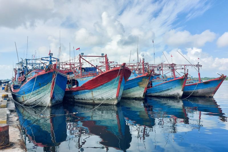 kkp-bekukan-izin-11-kapal-terduga-transhipment-di-laut-arafura