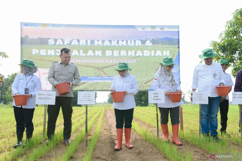 pupuk-indonesia-ajak-petani-swasembada-lewat-pemupukan-berimbang