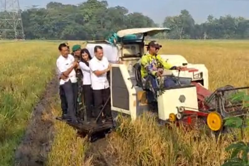 Bupati Kudus dukung Bulog serap 10.000 ton beras petani